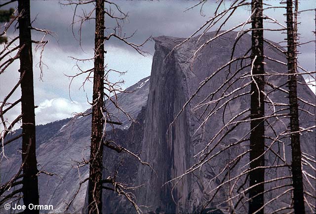 [landscapes_halfdome.jpg]