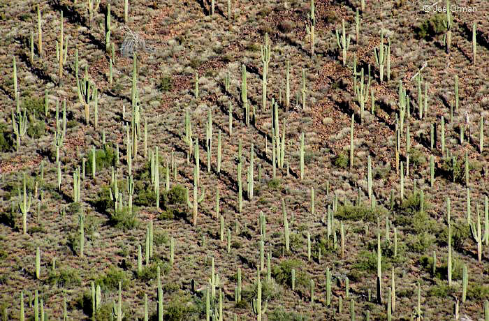 [landscapes_hogcanyon1.jpg]