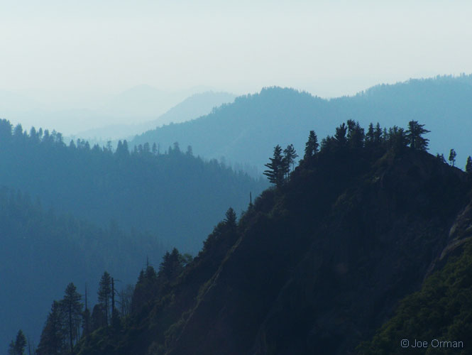 [landscapes_sequoia4.jpg]