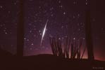 meteors_070315_32_s.jpg