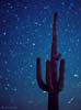 meteors_981213_34_s.jpg