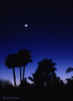 planets_000406_22_s.jpg