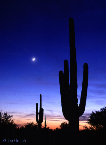 [planets_011117_25.jpg]