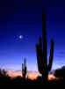 planets_011117_25_s.jpg