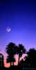 planets_01_s.jpg