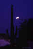 planets_030515_23_s.jpg
