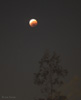 planets_030515_26_s.jpg