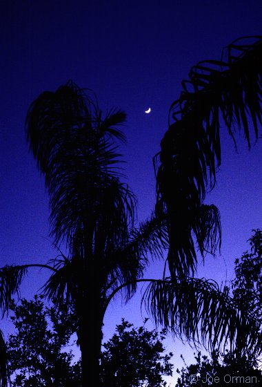 [planets_030603_35.jpg]