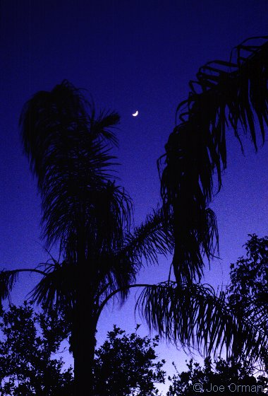 [planets_030603_36.jpg]