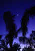 planets_030603_36_s.jpg