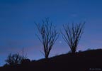 planets_031228_17_s.jpg