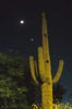 planets_040423_32_s.jpg