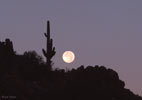 planets_041127_33_s.jpg