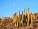planets_060318_03_s.jpg