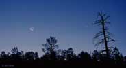 planets_060623_21_s.jpg
