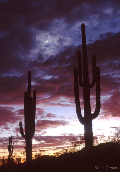 [planets_061124_14.jpg]