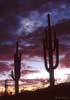 planets_061124_14_s.jpg