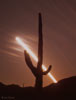planets_061124_15_s.jpg