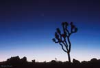 planets_070311_21_s.jpg