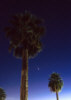 planets_070629_36_s.jpg