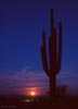 planets_070630_04_s.jpg