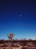 planets_071124_25_s.jpg