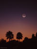 planets_080308_20_s.jpg