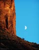 planets_081006_8800_s.jpg