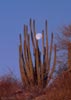 planets_09_s.jpg