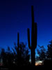 planets_9286_s.jpg