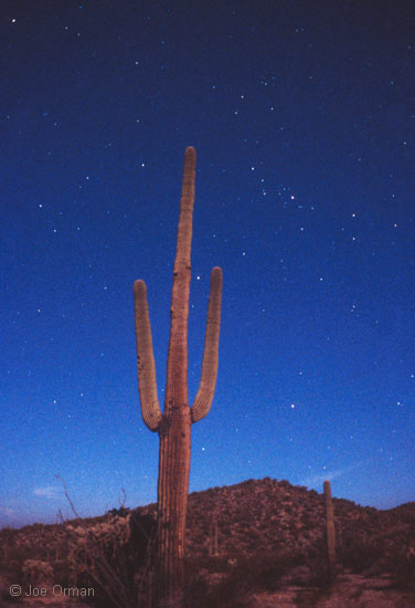 [stars_060316_06.jpg]