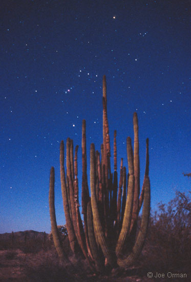 [stars_060316_09.jpg]