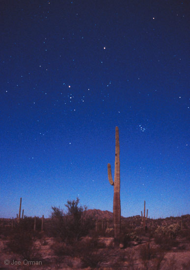 [stars_060316_10.jpg]