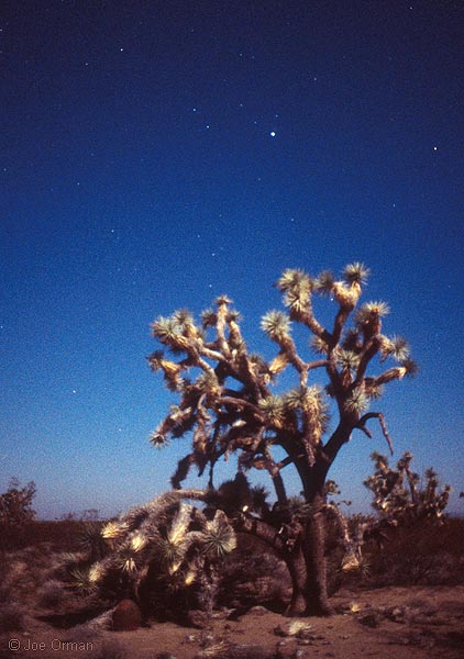 [stars_071123_10_unlabeled.jpg]