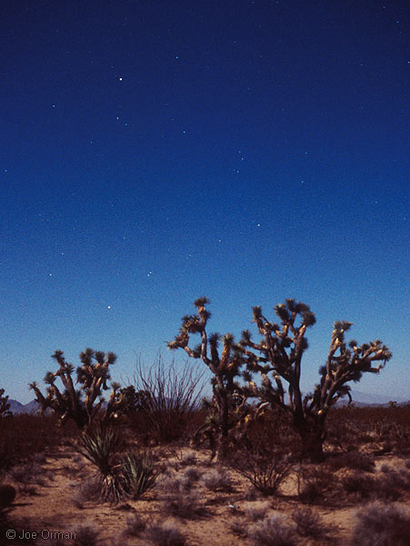 [stars_071123_16_unlabeled.jpg]