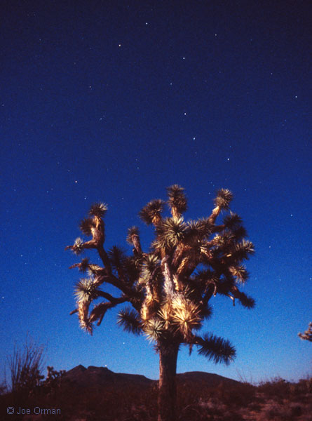 [stars_071124_23.jpg]