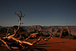 stars_IMG_4994_s.jpg