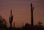 trails_061125_18_s.jpg